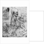 Profile of a man's head and studies of two riders by Leonardo Da Vinci