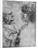 Studies of heads by Leonardo Da Vinci