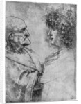 Studies of heads by Leonardo Da Vinci