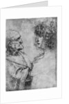 Studies of heads by Leonardo Da Vinci