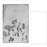 Studies in movement by Leonardo Da Vinci