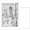 Study of human bones by Leonardo Da Vinci
