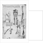 Study of human bones by Leonardo Da Vinci