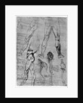 Studies in comparative anatomy by Leonardo Da Vinci