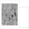 Studies in comparative anatomy by Leonardo Da Vinci