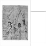 Studies in comparative anatomy by Leonardo Da Vinci