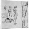 Nude studies for 'The Battle of Anghiari' by Leonardo Da Vinci