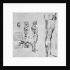 Nude studies for 'The Battle of Anghiari' by Leonardo Da Vinci