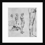 Nude studies for 'The Battle of Anghiari' by Leonardo Da Vinci