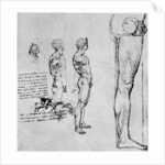 Nude studies for 'The Battle of Anghiari' by Leonardo Da Vinci