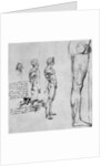 Nude studies for 'The Battle of Anghiari' by Leonardo Da Vinci