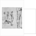 Nude studies for 'The Battle of Anghiari' by Leonardo Da Vinci