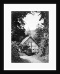 A Radnorshire cottage, Wales by Herbert Felton
