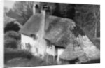 Cottage, Selworthy, Somerset by Emil Otto Hoppe