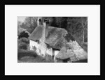 Cottage, Selworthy, Somerset by Emil Otto Hoppe