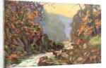 'On the Dargle, County Wicklow', Ireland by Catharine Chamney