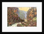 'On the Dargle, County Wicklow', Ireland by Catharine Chamney