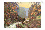'On the Dargle, County Wicklow', Ireland by Catharine Chamney