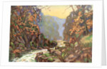 'On the Dargle, County Wicklow', Ireland by Catharine Chamney