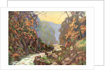 'On the Dargle, County Wicklow', Ireland by Catharine Chamney