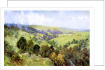 On the Hills near Harrogate, Yorkshire by George F Nicholls