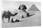 Praying before a sphinx, Cairo, Egypt by Anonymous