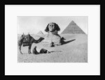 Praying before a sphinx, Cairo, Egypt by Anonymous