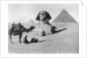 Praying before a sphinx, Cairo, Egypt by Anonymous