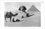 Praying before a sphinx, Cairo, Egypt by Anonymous