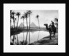 An oasis near Cairo, Egypt by Anonymous