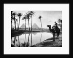 An oasis near Cairo, Egypt by Anonymous