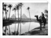 An oasis near Cairo, Egypt by Anonymous