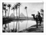 An oasis near Cairo, Egypt by Anonymous