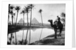 An oasis near Cairo, Egypt by Anonymous