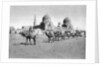 The Tombs of the Califs, Cairo, Egypt by Anonymous