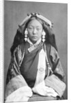 A Tibetan woman by Anonymous