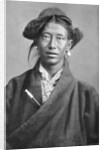 A Tibetan woman by Anonymous
