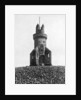 Johnston Tower, Laurencekirk, Aberdeenshire, Scotland by Valentine & Sons