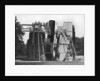 Lord Rosse's telescope, Birr, Offaly, Ireland by W Lawrence