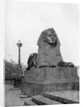 One of the sphinxes, Victoria Embankment, London by Anonymous