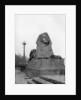 One of the sphinxes, Victoria Embankment, London by Anonymous