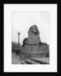 One of the sphinxes, Victoria Embankment, London by Anonymous