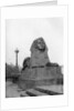 One of the sphinxes, Victoria Embankment, London by Anonymous