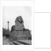 One of the sphinxes, Victoria Embankment, London by Anonymous