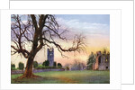 Ruins on the Hill of Slane, County Meath, Ireland by MC Green
