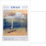 Advert for Swan fountain pens by Anonymous