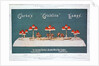 Advert for Clarke's 'Cricklite' Lamps by Anonymous