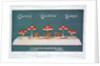 Advert for Clarke's 'Cricklite' Lamps by Anonymous