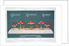 Advert for Clarke's 'Cricklite' Lamps by Anonymous