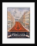 Advert for Treloar carpets by Anonymous
